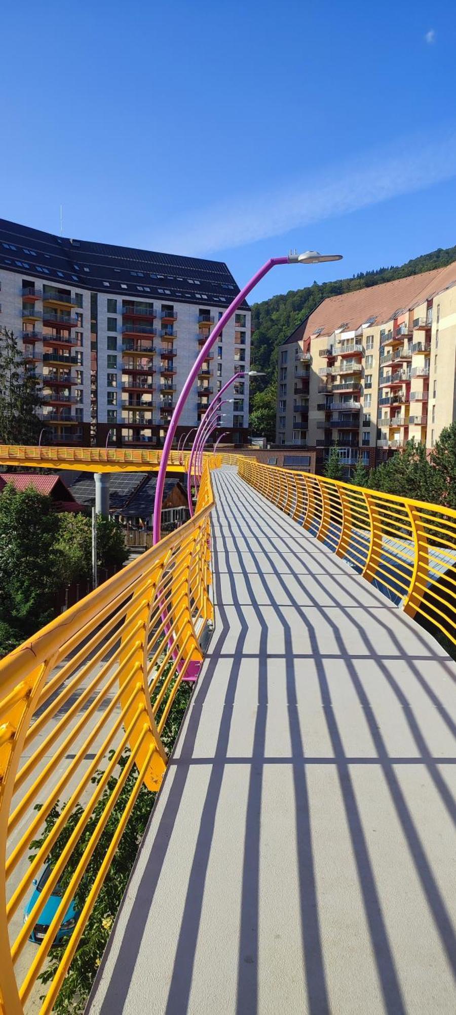 Appartement Jacuzzi Belle View Sinaia-Free Parking Extérieur photo